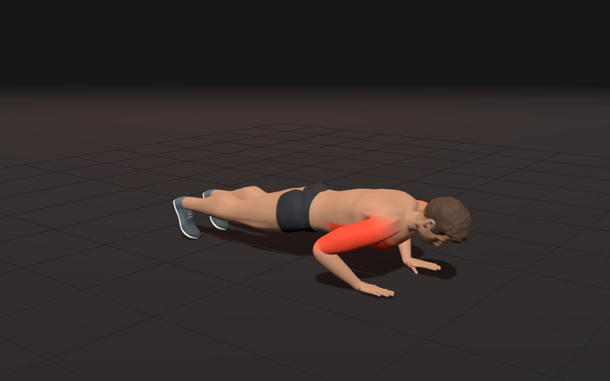 3D model of a push-up with working muscles highlighted