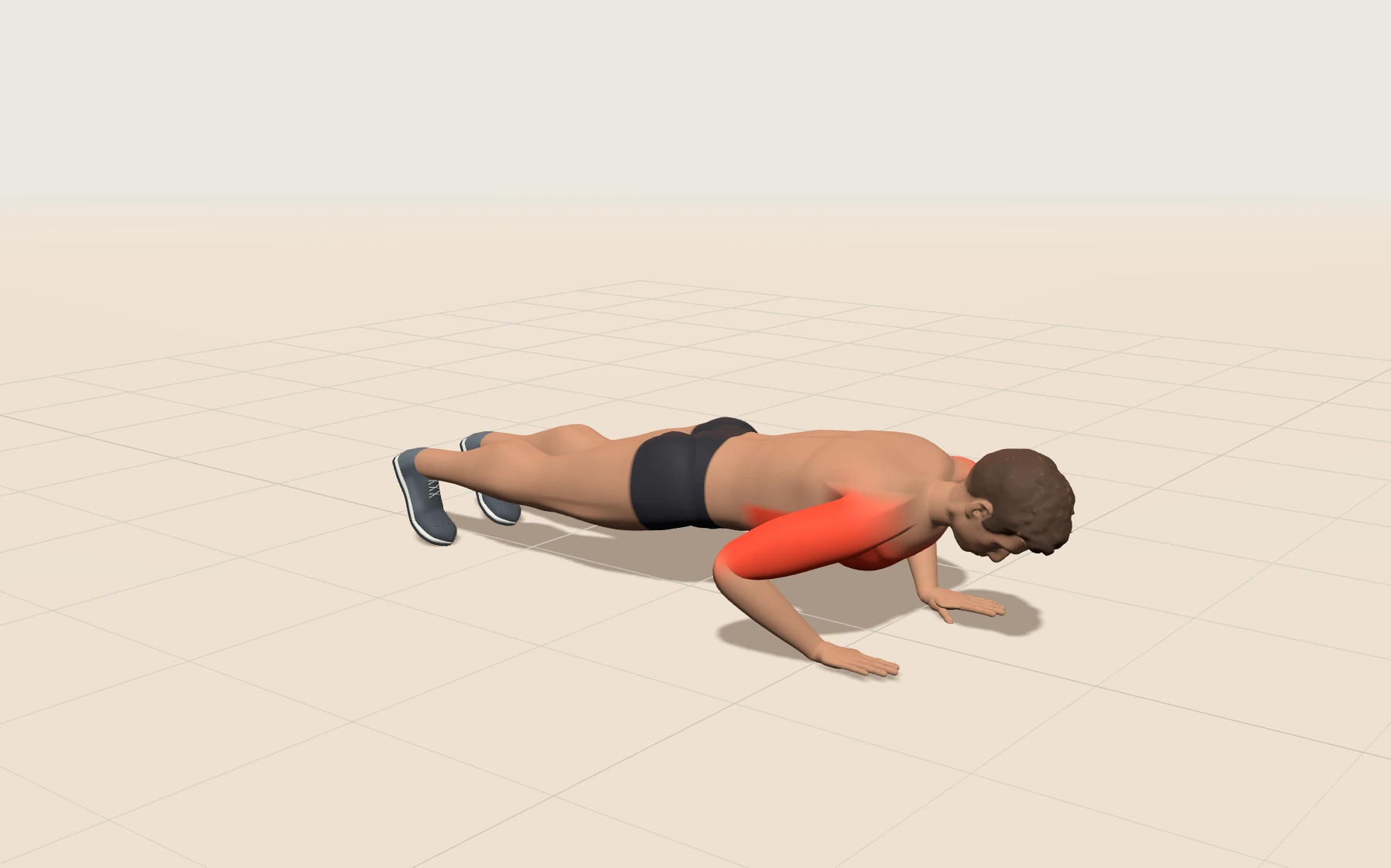 3D model of a push-up with working muscles highlighted